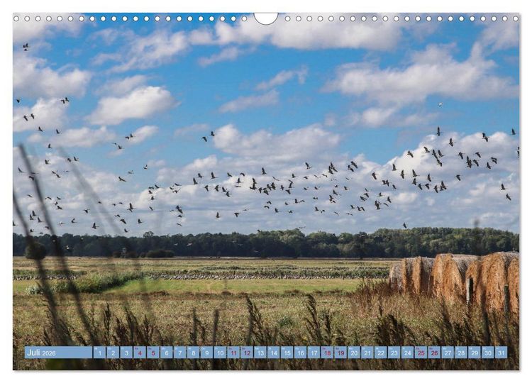 Produktbild: Stralsund und die Boddenlandschaft (Wandkalender 2026 DIN A3 quer), CALVENDO Monatskalender