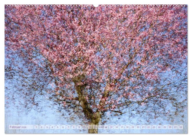 Produktbild: Vielfalt der B&auml;ume - variety of trees (hochwertiger Premium Wandkalender 2026 DIN A2 quer), Kunstdruck in Hochglanz