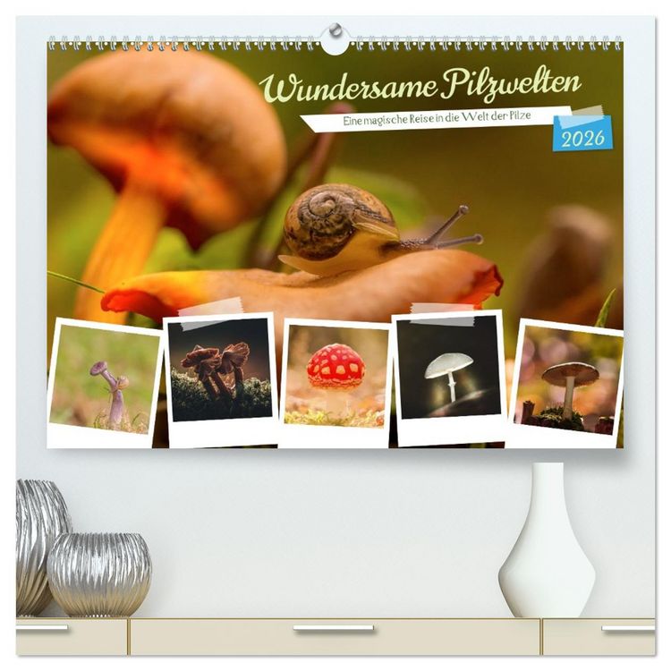 Produktbild: Wundersame Pilzwelten (hochwertiger Premium Wandkalender 2026 DIN A2 quer), Kunstdruck in Hochglanz