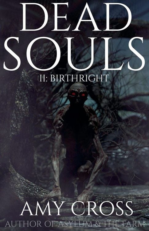 Produktbild: Birthright