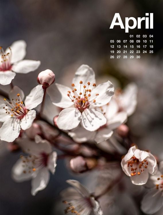 Produktbild: Fr&uuml;hling, Sommer, Herbst & Winter Kalender 2027