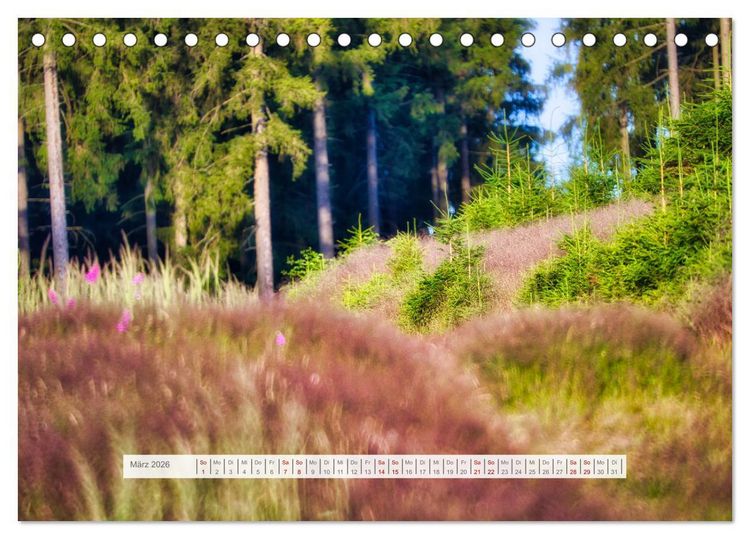 Produktbild: Traumhafte Waldstimmung am Rennsteig im Th&uuml;ringer Wald (Tischkalender 2026 DIN A5 quer), CALVENDO Monatskalender