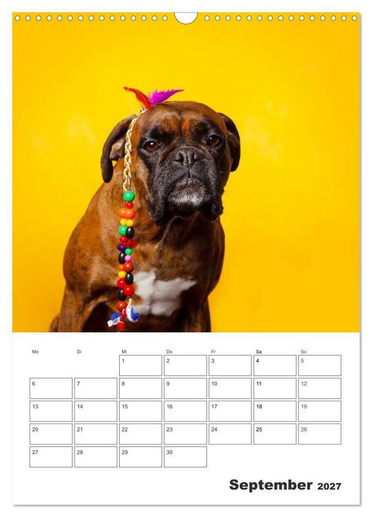 Produktbild: colorful world of boxer 2027 (Wandkalender 2027 DIN A3 hoch), CALVENDO Monatskalender