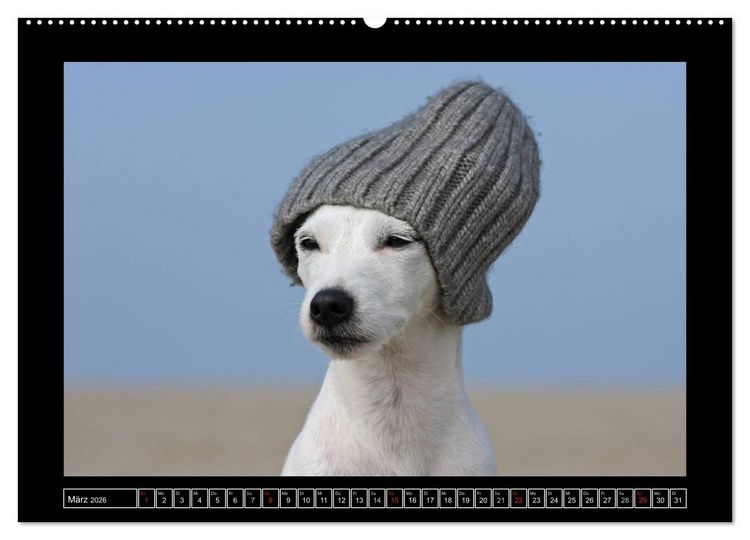 Produktbild: Parson Russell Terrier (hochwertiger Premium Wandkalender 2026 DIN A2 quer), Kunstdruck in Hochglanz