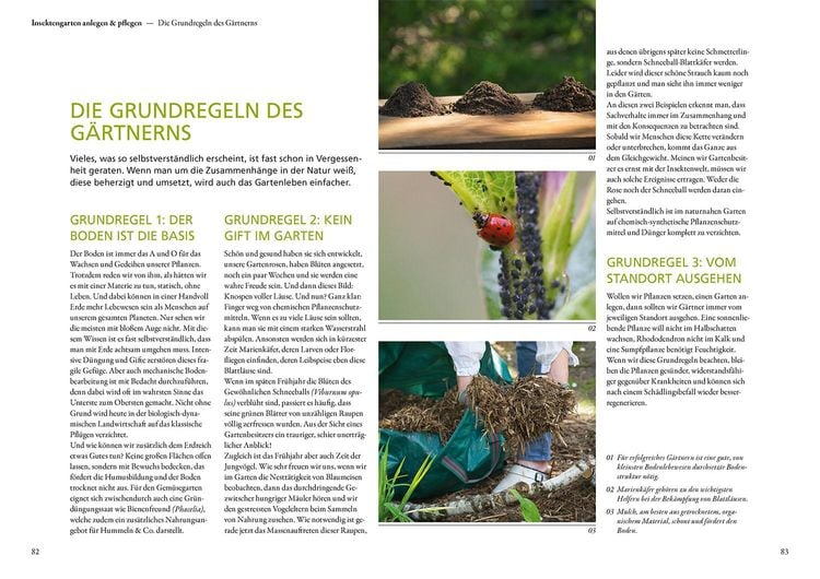 Produktbild: Mein Garten summt!