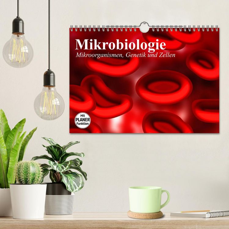 Produktbild: Mikrobiologie. Mikroorganismen, Genetik und Zellen (Wandkalender 2026 DIN A4 quer), CALVENDO Monatskalender