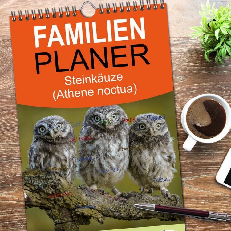 Produktbild: Familienplaner 2026 - Steink&auml;uze (Athene noctua) mit 5 Spalten (Wandkalender, 21 x 45 cm) CALVENDO
