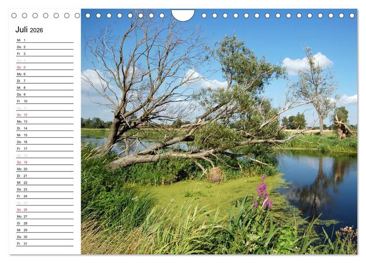 Produktbild: Vier Jahreszeiten im Land Brandenburg (Wandkalender 2026 DIN A4 quer), CALVENDO Monatskalender