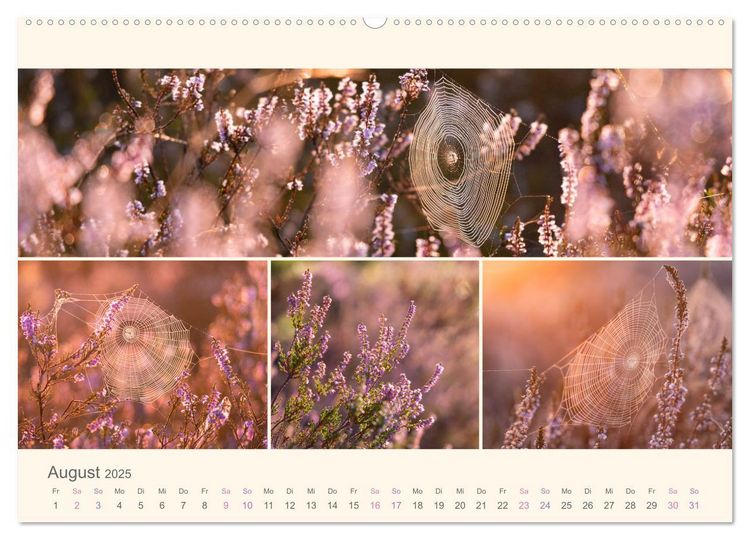 Mehlinger Heide (Wandkalender 2025 DIN A2 quer), CALVENDO Monatskalender
