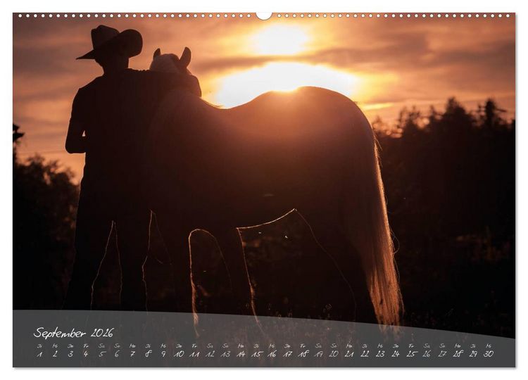 Produktbild: Haflinger-Pferde in Reinzucht (Wandkalender 2026 DIN A2 quer), CALVENDO Monatskalender