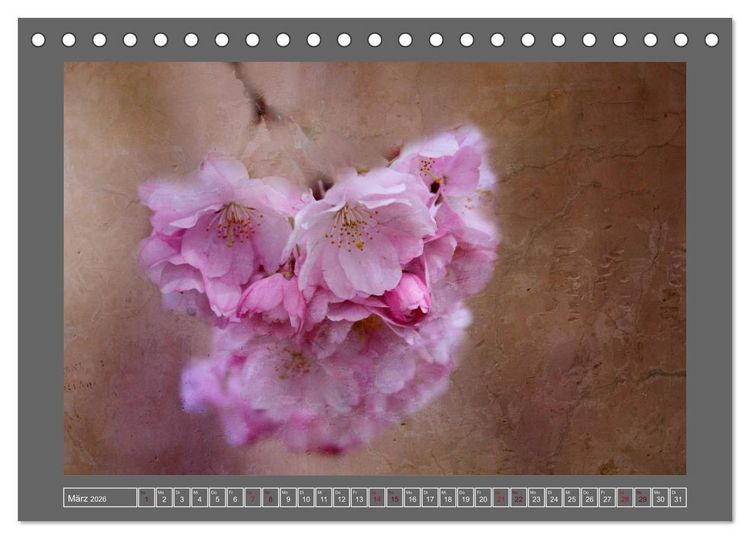 Produktbild: Blumen f&uuml;r dich (Tischkalender 2026 DIN A5 quer), CALVENDO Monatskalender