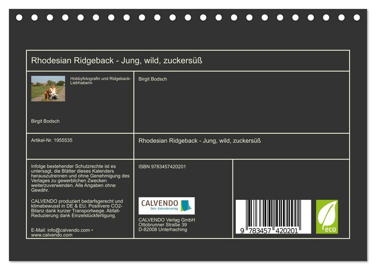 Produktbild: Rhodesian Ridgeback - Jung, wild, zuckers&uuml;&szlig; (Tischkalender 2026 DIN A5 quer), CALVENDO Monatskalender