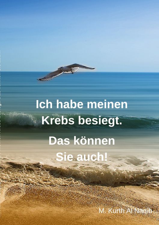Produktbild: Ich habe meinen Krebs besiegt. Das k&ouml;nnen Sie auch!