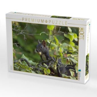 Produktbild: CALVENDO Puzzle Eichh&ouml;rnchen | 1000 Teile Lege-Gr&ouml;&szlig;e 64x48cm Foto-Puzzle f&uuml;r gl&uuml;ckliche Stunden
