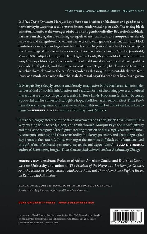 Produktbild: Black Trans Feminism