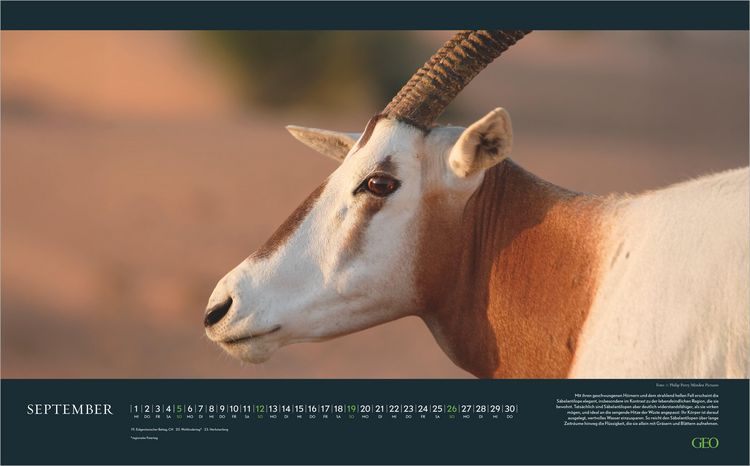 Produktbild: GEO Einzigartige Tierarten 2027
