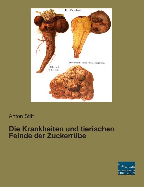 Produktbild: Die Krankheiten und tierischen Feinde der Zuckerr&uuml;be