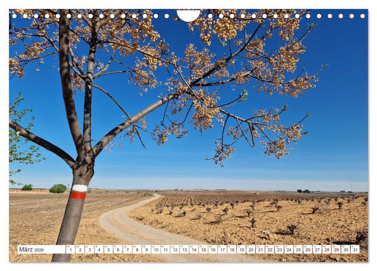 Produktbild: Camino Levante - magische Momente auf stillen Wegen (Wandkalender 2026 DIN A4 quer), CALVENDO Monatskalender