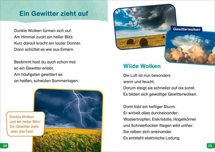 Produktbild: WAS IST WAS Erstes Lesen easy! Band 16. Wie wird das Wetter?