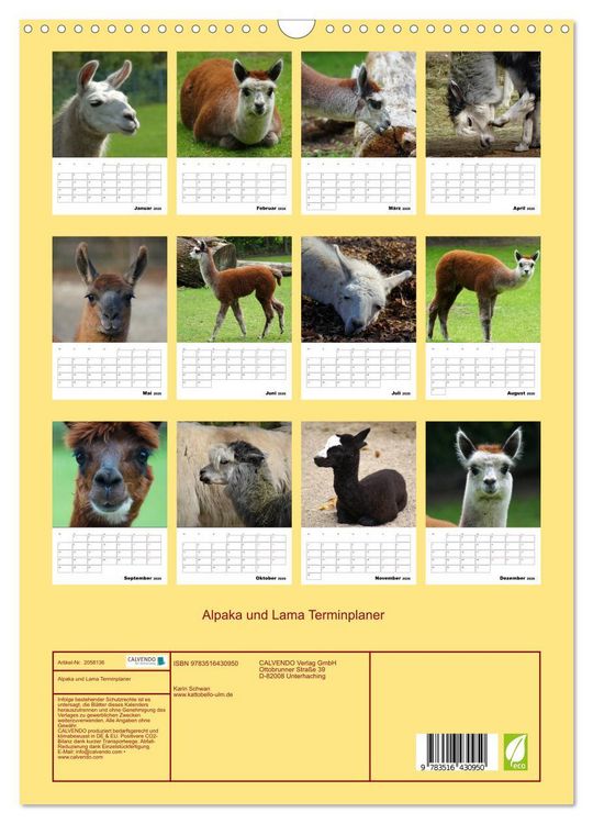 Produktbild: Alpaka und Lama Terminplaner (Wandkalender 2026 DIN A3 hoch), CALVENDO Monatskalender