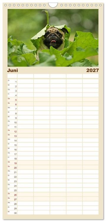 Produktbild: Familienplaner 2027 - Lustige M&ouml;pse aus der Hundeknipserei mit 5 Spalten (Wandkalender, 21 x 45 cm) CALVENDO