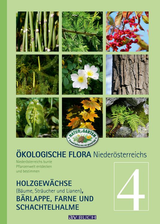 Produktbild: &Ouml;kologische Flora &ndash; Nieder-&Ouml;sterreichs Pflanzenwelt entdecken und bestimmen