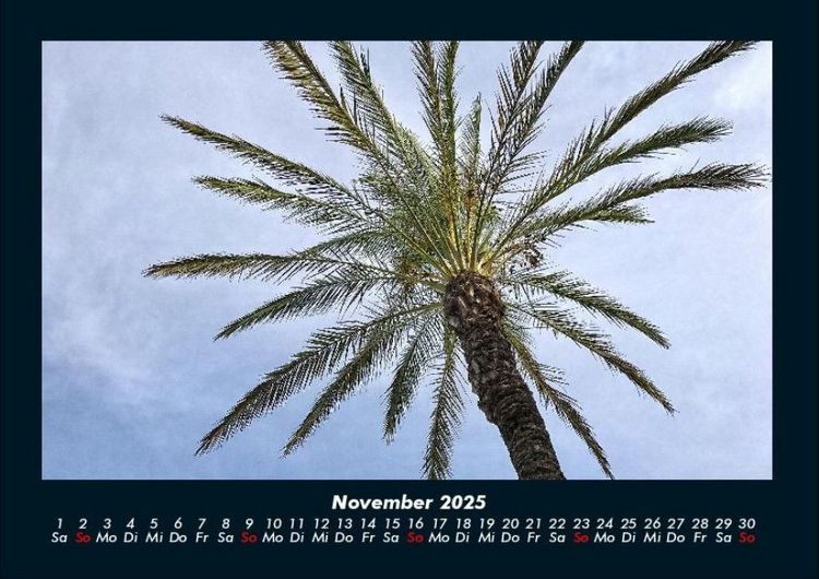 Produktbild: Palmentraum 2025 Fotokalender DIN A4