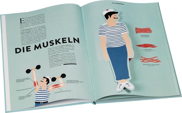 Produktbild: Anatomie