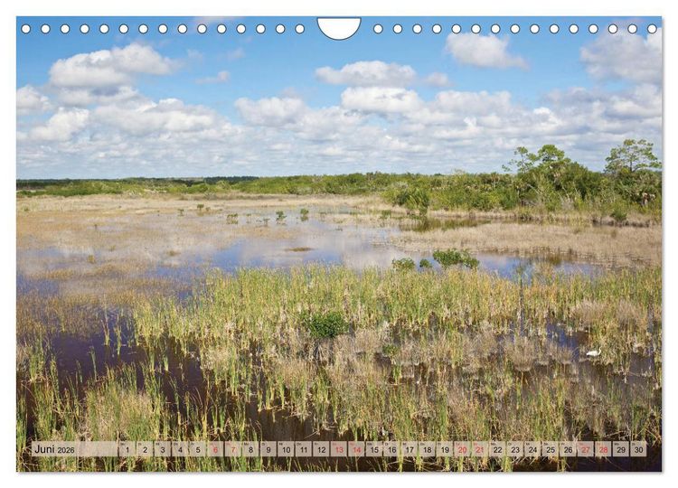 Produktbild: GEOclick calendar: Florida (Wandkalender 2026 DIN A4 quer), CALVENDO Monatskalender
