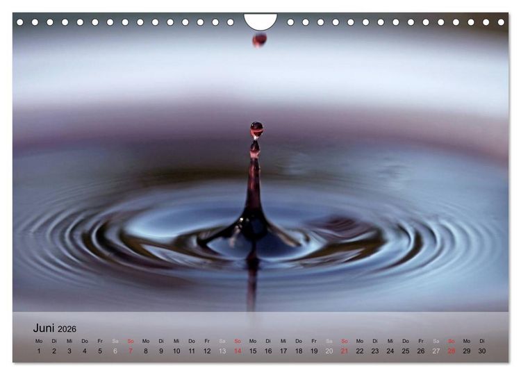 Produktbild: Wein schmeckt fein (Wandkalender 2026 DIN A4 quer), CALVENDO Monatskalender