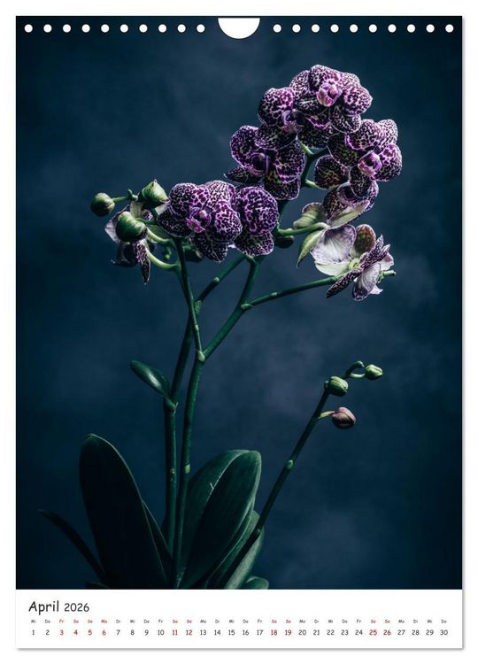 Produktbild: Orchideen Zauber (Wandkalender 2026 DIN A4 hoch), CALVENDO Monatskalender