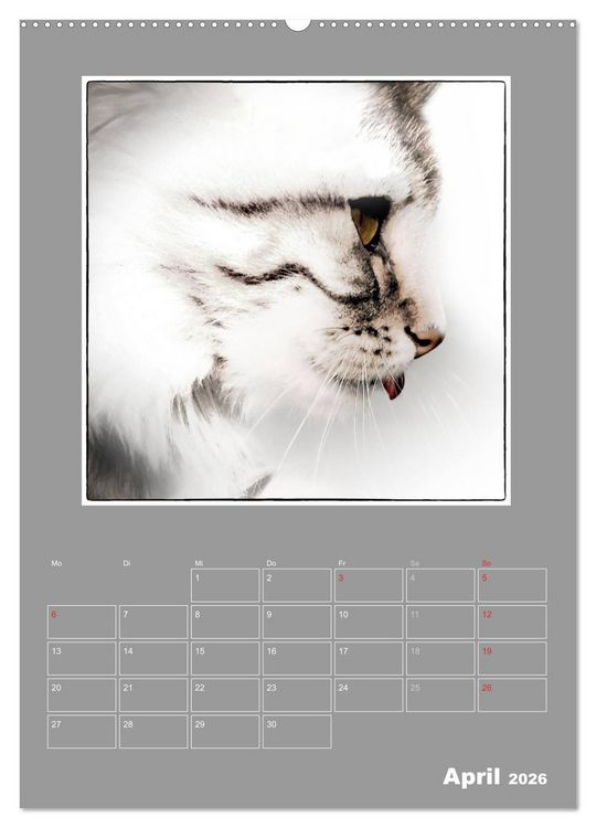 Produktbild: Katzen Blues / Planer (Wandkalender 2026 DIN A2 hoch), CALVENDO Monatskalender