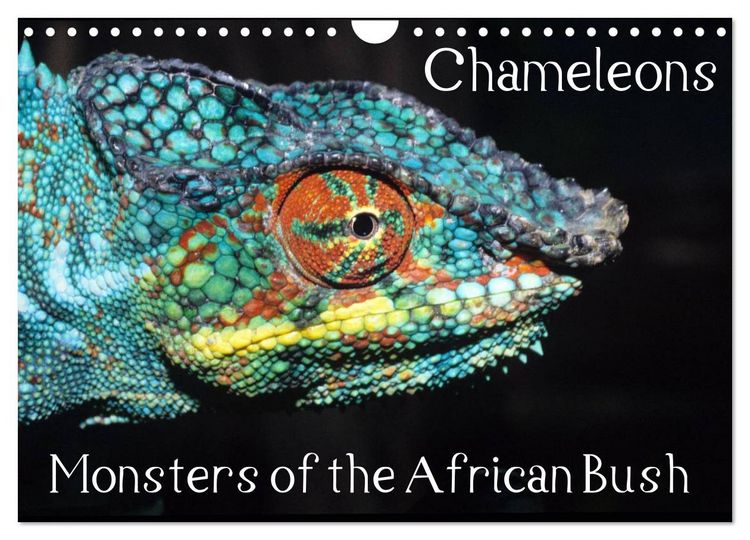 Produktbild: Chameleons Monsters of the African Bush (Wall Calendar 2026 DIN A4 landscape), CALVENDO 12 Month Wall Calendar