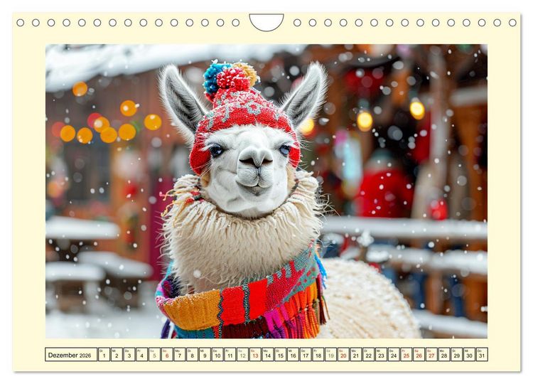 Produktbild: Lamas auf Tour. Perus flauschige Fashion-Ikonen (Wandkalender 2026 DIN A4 quer), CALVENDO Monatskalender