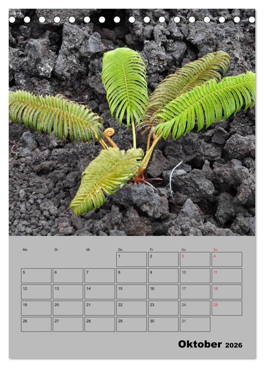 Produktbild: Hawaii - Land of Aloha (Tischkalender 2026 DIN A5 hoch), CALVENDO Monatskalender