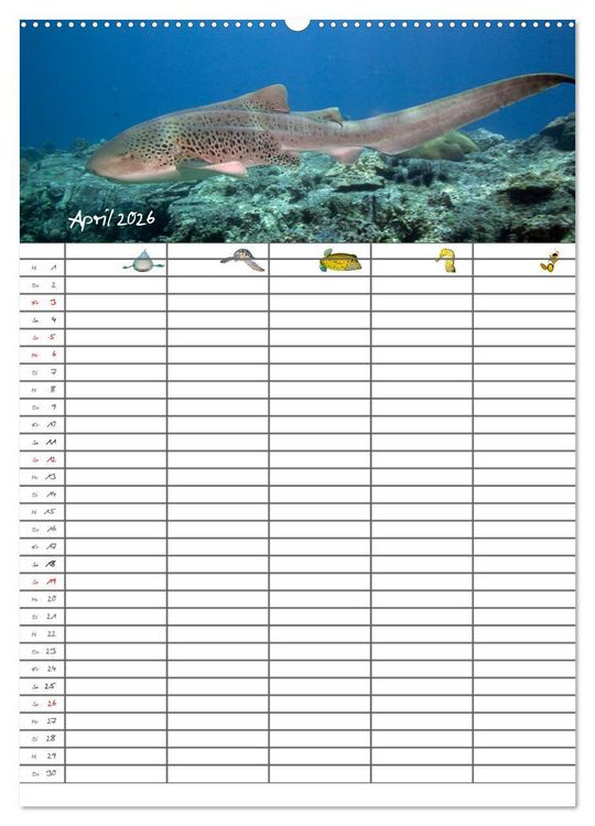 Produktbild: Der Unterwasser Familienplaner 2026 (hochwertiger Premium Wandkalender 2026 DIN A2 hoch), Kunstdruck in Hochglanz