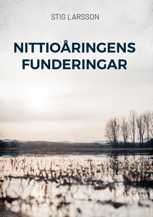Produktbild: Nittioåringens funderingar