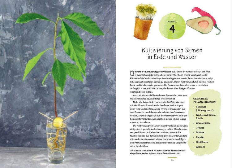 Produktbild: Regrow: Neue Ernte aus Gem&uuml;seresten - Von Avocado bis Zwiebel. Die unkomplizierte Nachzucht aus Samen, Wurzeln, St&auml;ngeln oder Bl&auml;ttern