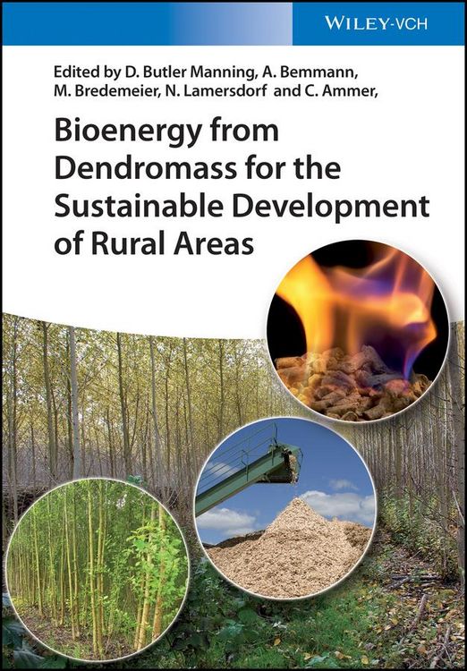 Produktbild: Bioenergy from Dendromass for the Sustainable Development of Rural Areas