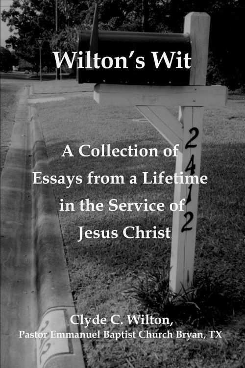 Produktbild: Wilton's Wit