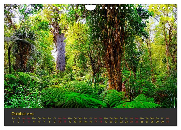 Produktbild: Spirit of New Zealand (Wall Calendar 2026 DIN A4 landscape), CALVENDO 12 Month Wall Calendar