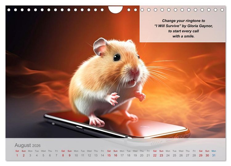 Produktbild: Positive new start after divorce (Wall Calendar 2026 DIN A4 landscape), CALVENDO 12 Month Wall Calendar