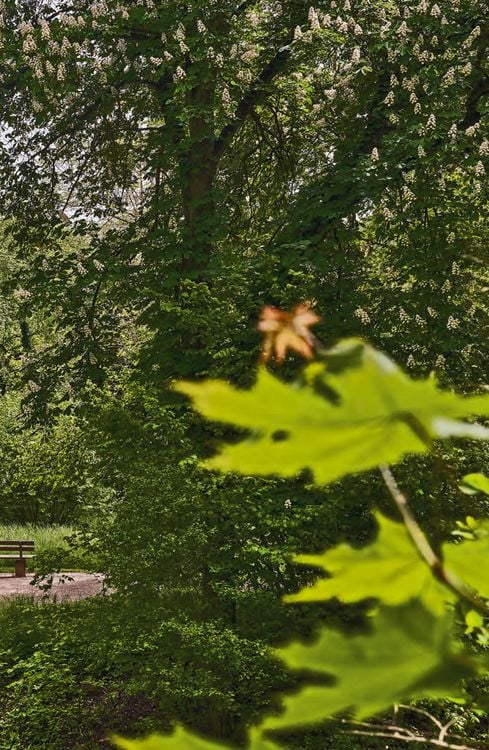 Produktbild: Goethes Gartenhaus