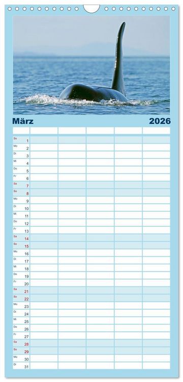Produktbild: Familienplaner 2026 - Orcas: Schwarz-wei&szlig;e Giganten mit 5 Spalten (Wandkalender, 21 x 45 cm) CALVENDO