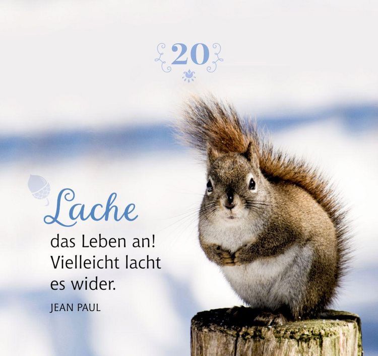 Produktbild: 24 kl.Momente... Winter-Wunderland, Adventsbl&ouml;ckchen