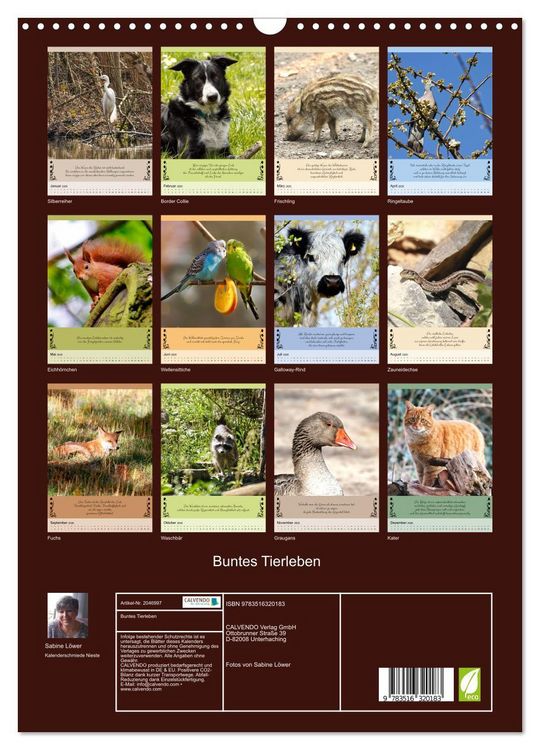 Produktbild: Buntes Tierleben (Wandkalender 2026 DIN A3 hoch), CALVENDO Monatskalender