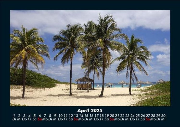 Produktbild: Palmentraum 2025 Fotokalender DIN A5