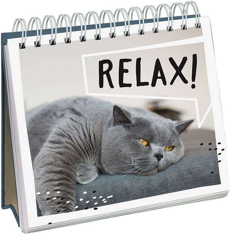Produktbild: Cat philosophy