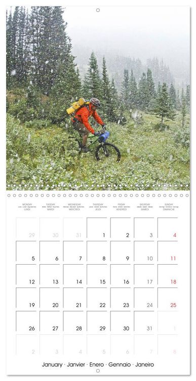 Produktbild: Mountain biking: Up hill and down dale (Wall Calendar 2026 12 &times; 12 Inch) CALVENDO 12 Month Wall Calendar