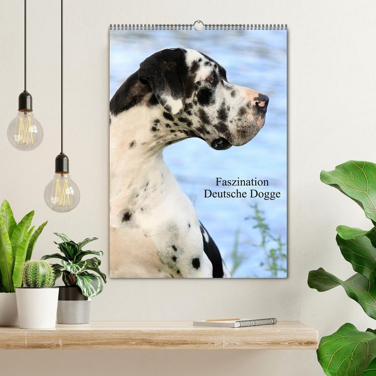 Produktbild: Faszination Deutsche Dogge (Wandkalender 2026 DIN A2 hoch), CALVENDO Monatskalender